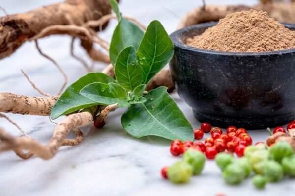 ashwagandha powder
