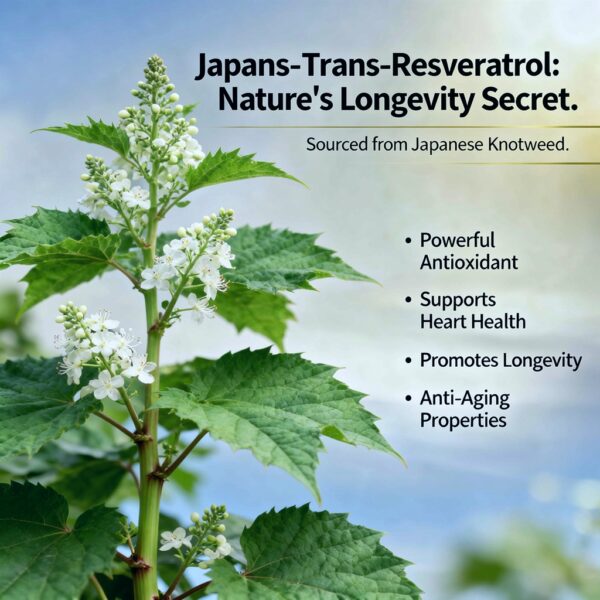 trans-resveratrol 99.5%