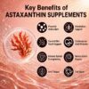 astaxanthin benefits