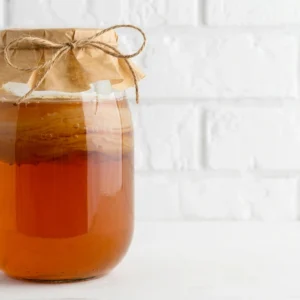 Kombucha SCOBY